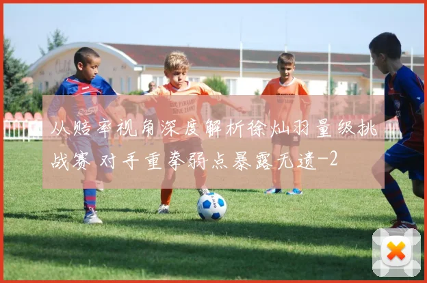 从赔率视角深度解析徐灿羽量级挑战赛 对手重拳弱点暴露无遗